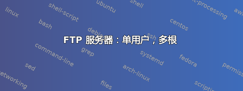 FTP 服务器：单用户，多根