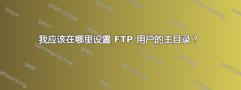 我应该在哪里设置 FTP 用户的主目录？