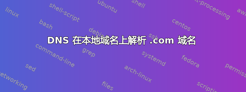 DNS 在本地域名上解析 .com 域名