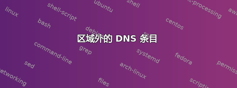 区域外的 DNS 条目