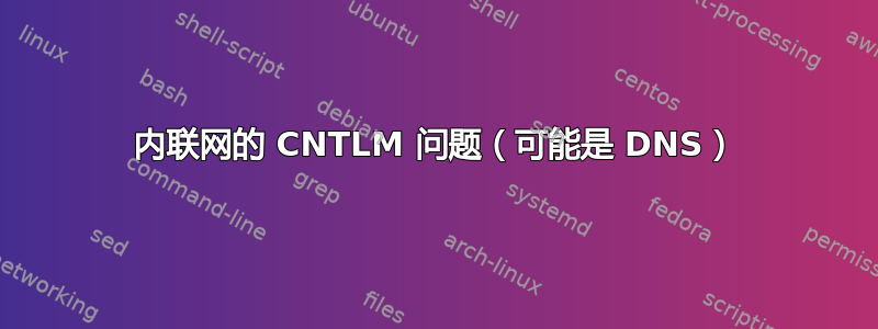 内联网的 CNTLM 问题（可能是 DNS）