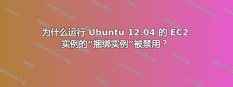 为什么运行 Ubuntu 12.04 的 EC2 实例的“捆绑实例”被禁用？