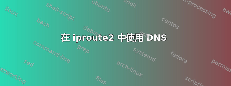 在 iproute2 中使用 DNS