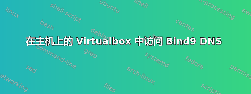 在主机上的 Virtualbox 中访问 Bind9 DNS