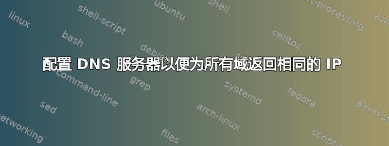 配置 DNS 服务器以便为所有域返回相同的 IP