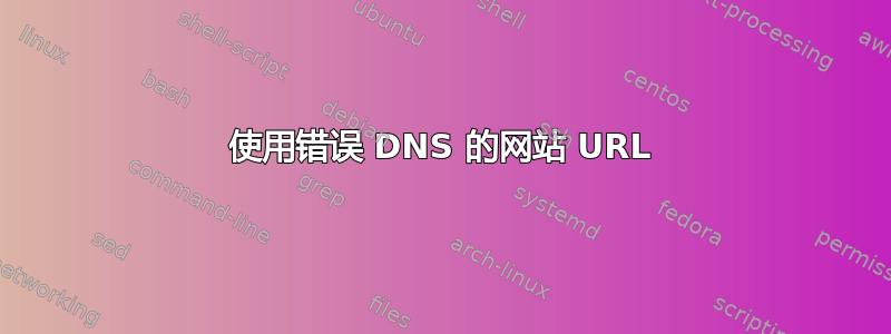 使用错误 DNS 的网站 URL