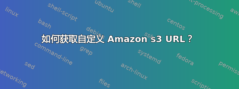 如何获取自定义 Amazon s3 URL？