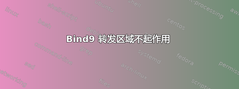 Bind9 转发区域不起作用