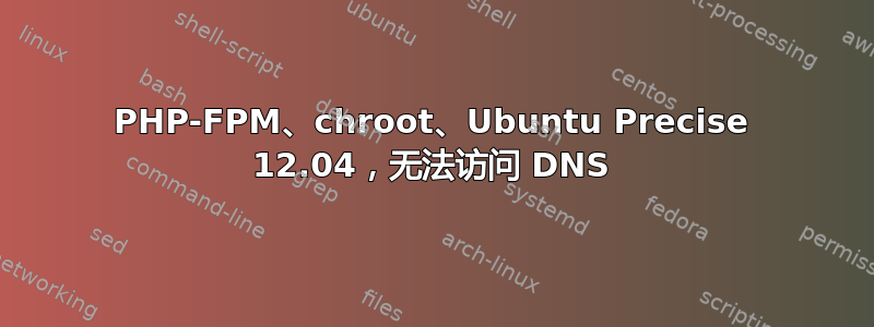 PHP-FPM、chroot、Ubuntu Precise 12.04，无法访问 DNS