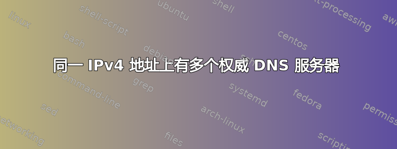 同一 IPv4 地址上有多个权威 DNS 服务器