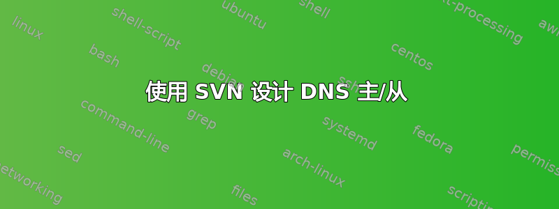 使用 SVN 设计 DNS 主/从