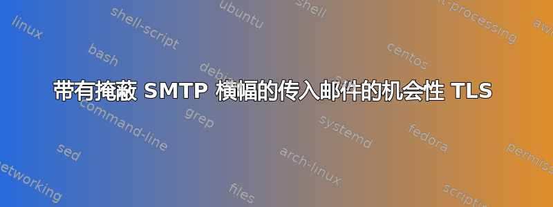 带有掩蔽 SMTP 横幅的传入邮件的机会性 TLS