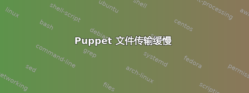 Puppet 文件传输缓慢