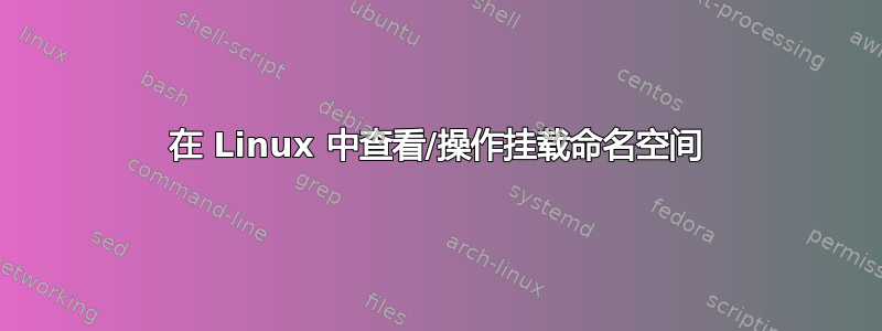 在 Linux 中查看/操作挂载命名空间