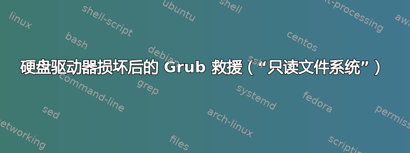 硬盘驱动器损坏后的 Grub 救援（“只读文件系统”）