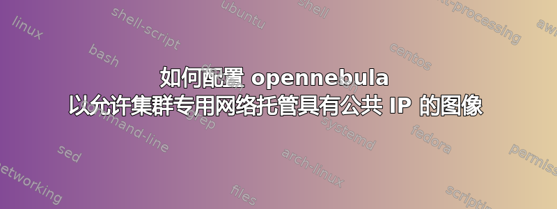 如何配置 opennebula 以允许集群专用网络托管具有公共 IP 的图像