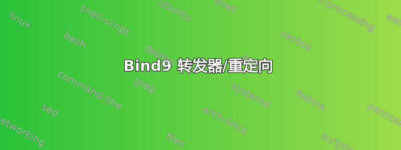 Bind9 转发器/重定向