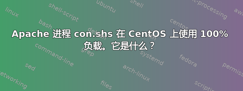 Apache 进程 con.shs 在 CentOS 上使用 100% 负载。它是什么？