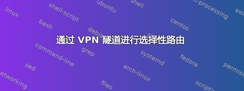 通过 VPN 隧道进行选择性路由