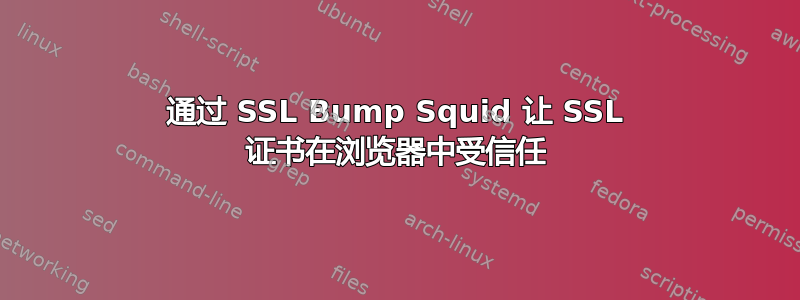 通过 SSL Bump Squid 让 SSL 证书在浏览器中受信任