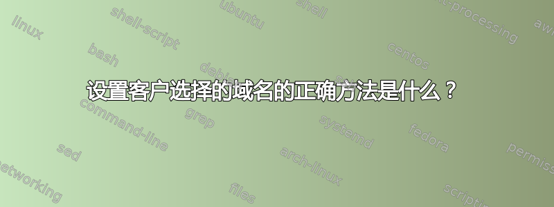 设置客户选择的域名的正确方法是什么？