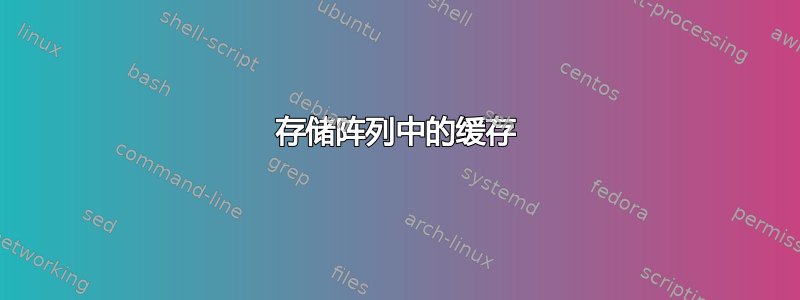 存储阵列中的缓存