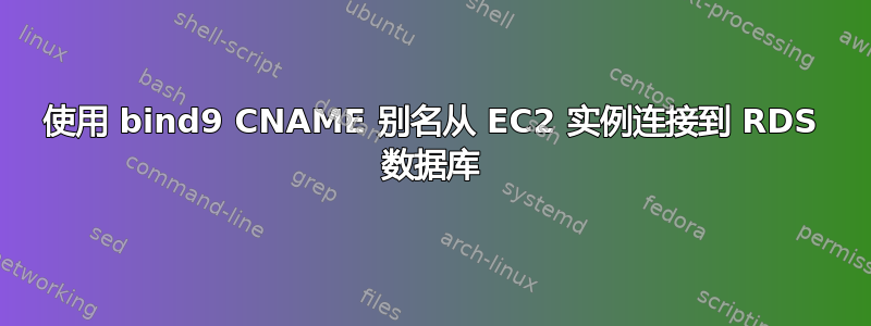 使用 bind9 CNAME 别名从 EC2 实例连接到 RDS 数据库