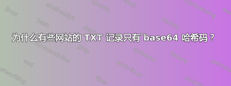 为什么有些网站的 TXT 记录只有 base64 哈希码？