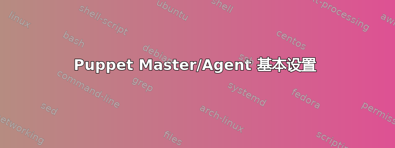 Puppet Master/Agent 基本设置