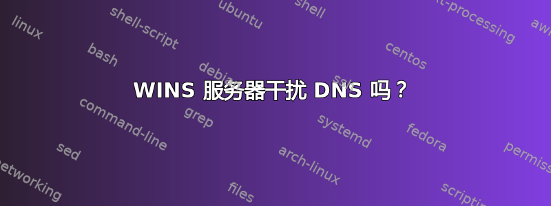 WINS 服务器干扰 DNS 吗？