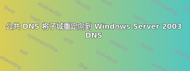 公共 DNS 将子域重定向到 Windows Server 2003 DNS