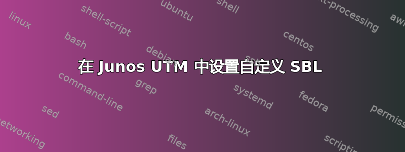 在 Junos UTM 中设置自定义 SBL