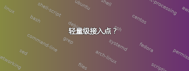 轻量级接入点？