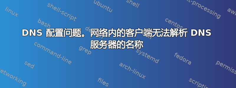 DNS 配置问题。网络内的客户端无法解析 DNS 服务器的名称