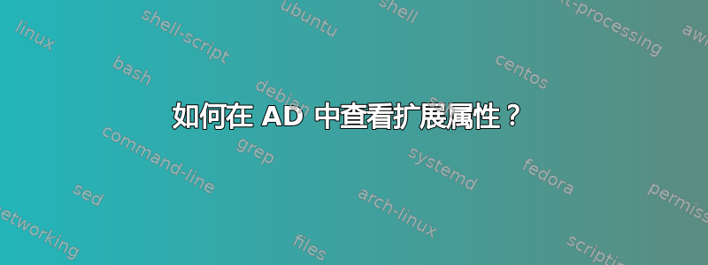 如何在 AD 中查看扩展属性？