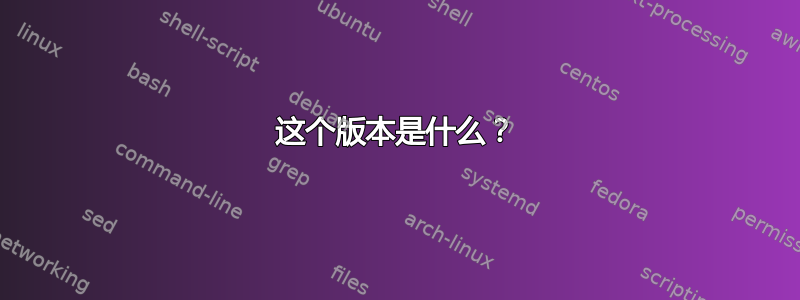 这个版本是什么？