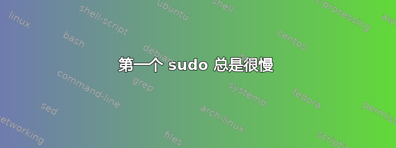 第一个 sudo 总是很慢