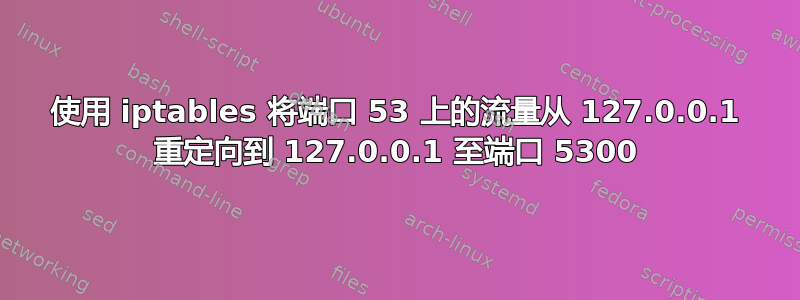 使用 iptables 将端口 53 上的流量从 127.0.0.1 重定向到 127.0.0.1 至端口 5300