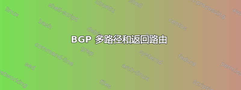 BGP 多路径和返回路由