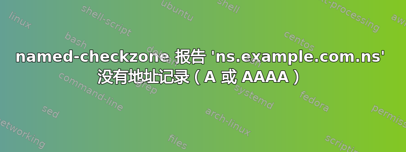 named-checkzone 报告 'ns.example.com.ns' 没有地址记录（A 或 AAAA）