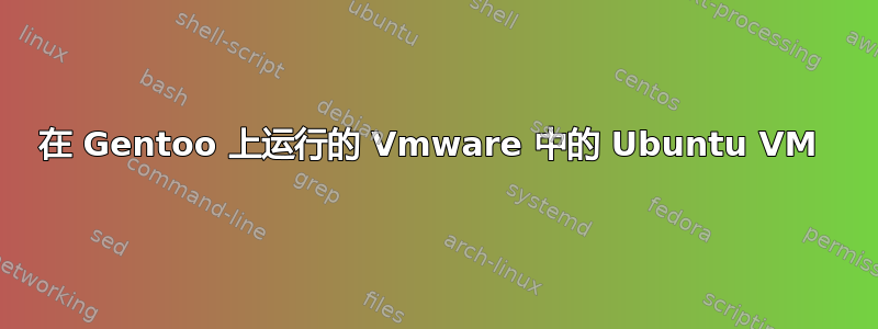 在 Gentoo 上运行的 Vmware 中的 Ubuntu VM 