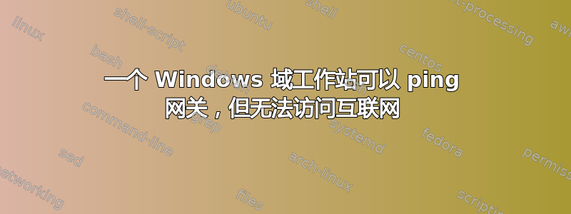 一个 Windows 域工作站可以 ping 网关，但无法访问互联网