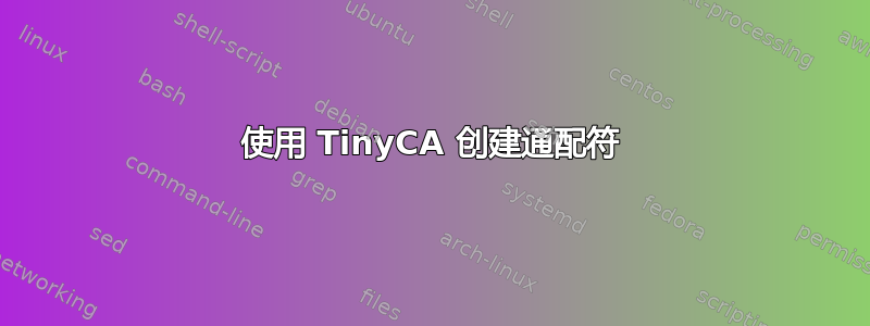 使用 TinyCA 创建通配符