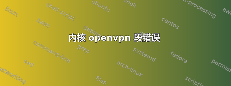 内核 openvpn 段错误