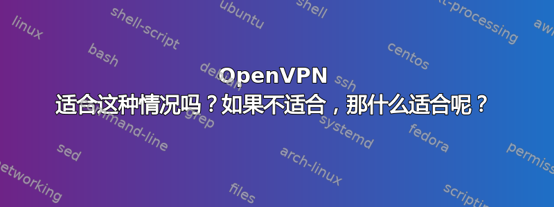 OpenVPN 适合这种情况吗？如果不适合，那什么适合呢？