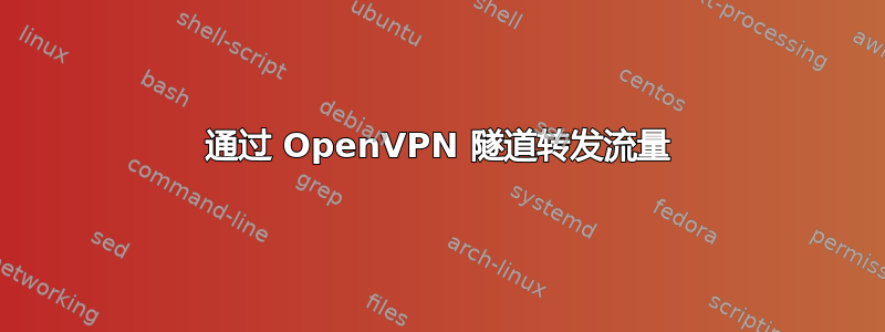 通过 OpenVPN 隧道转发流量