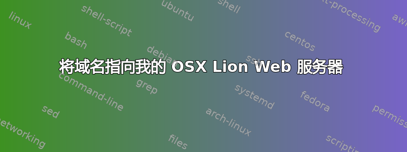 将域名指向我的 OSX Lion Web 服务器