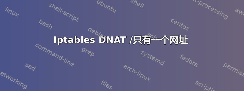 Iptables DNAT /只有一个网址