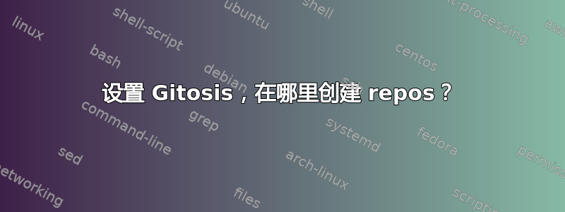 设置 Gitosis，在哪里创建 repos？