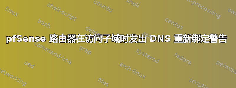 pfSense 路由器在访问子域时发出 DNS 重新绑定警告